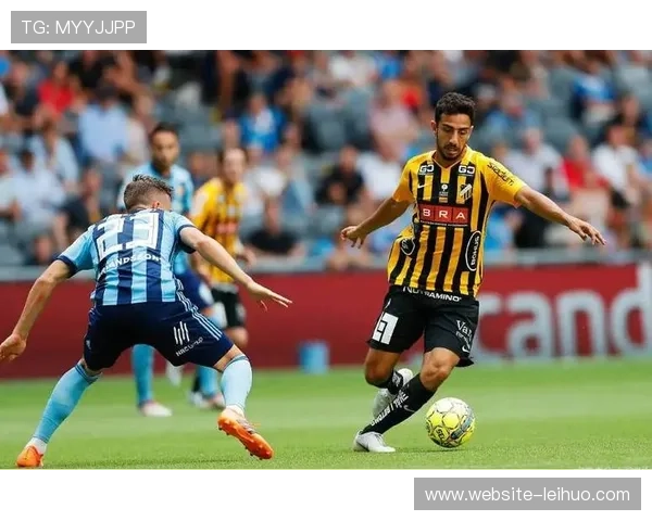 主场优势加持坦佩雷山猫势在必得有望拿下芬超胜利